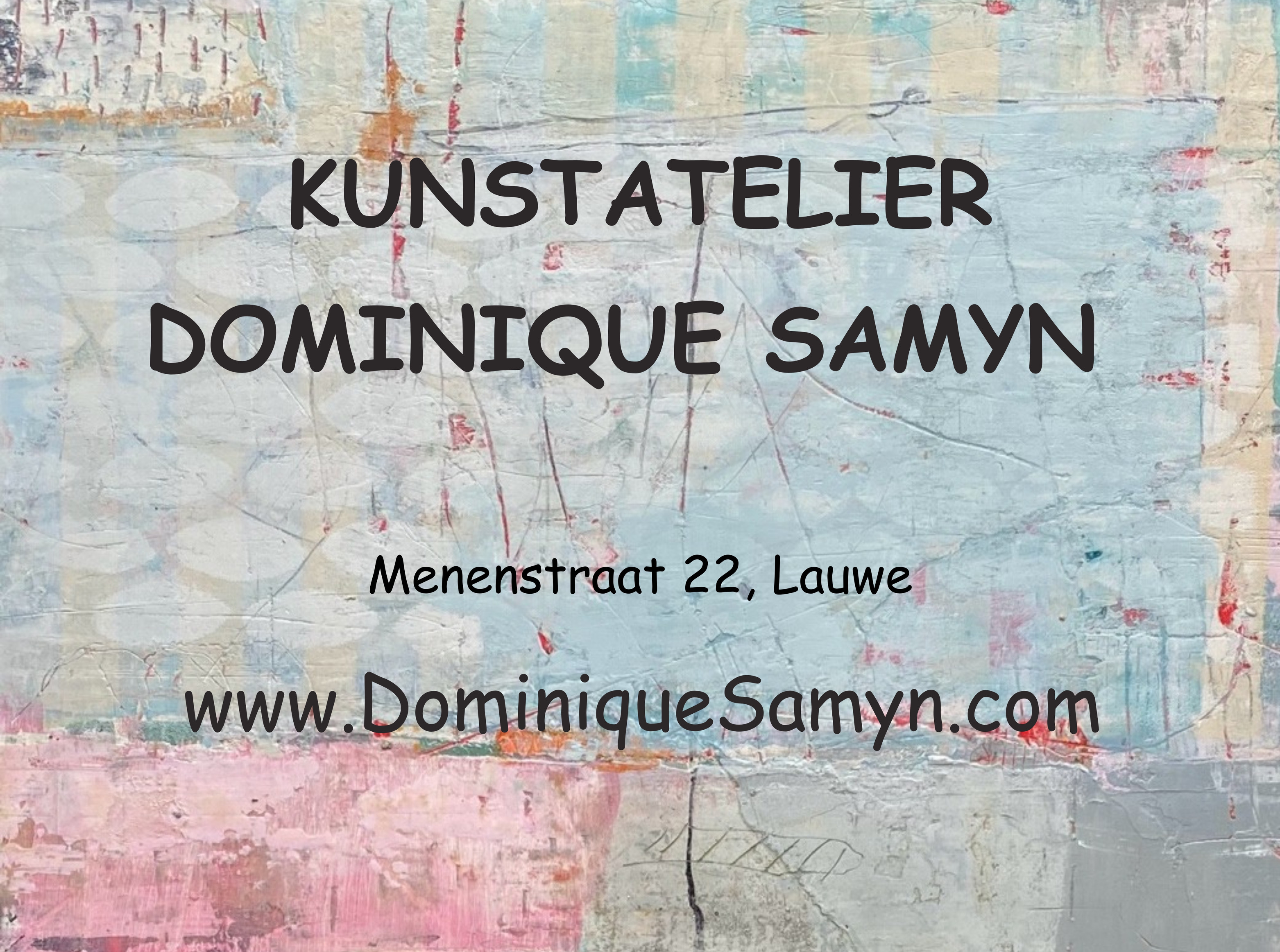 dominique samyn